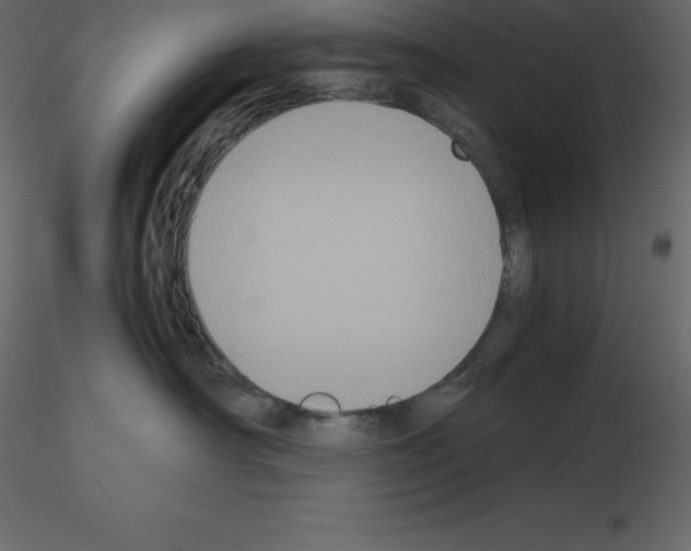 X0000115720430200912241609