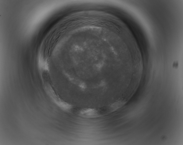 X0000115720431200912241609