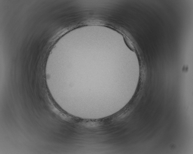 X0000115720433200912241608