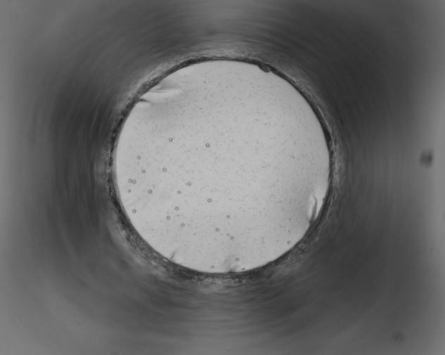 X0000115720434200912241608