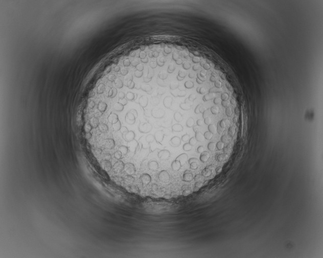 X0000115720435200912241608