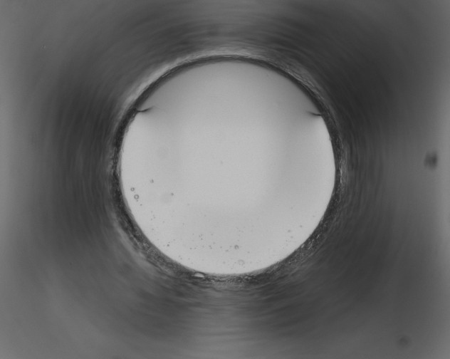 X0000115720436200912241608