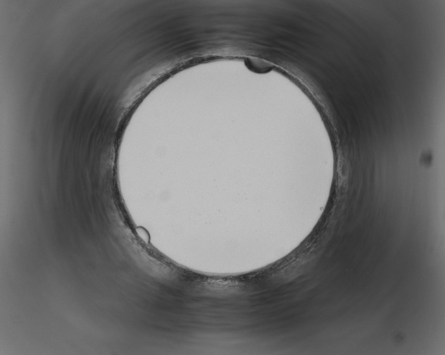 X0000115720437200912241608