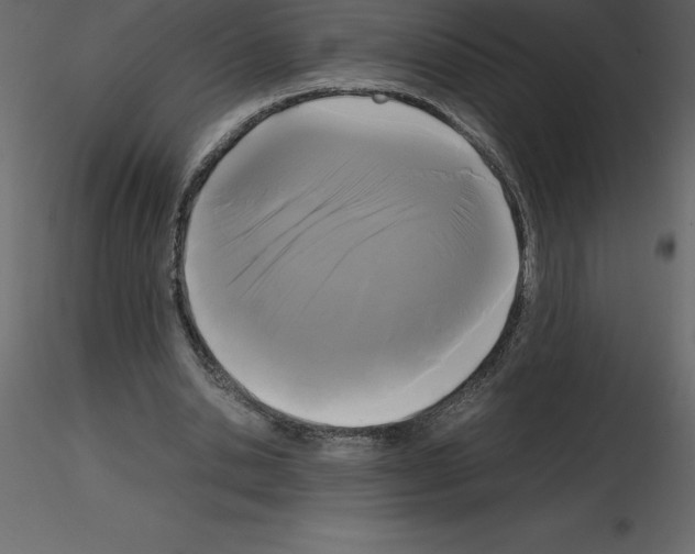 X0000115720438200912241608