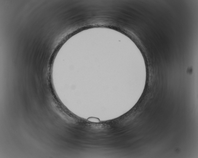 X0000115720439200912241608