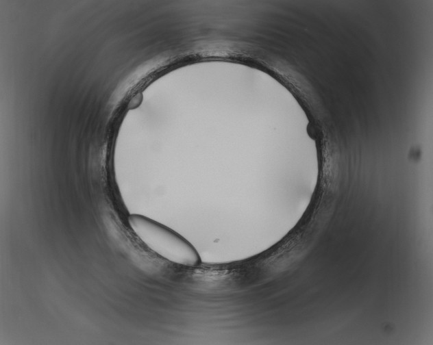 X0000115720440200912241608
