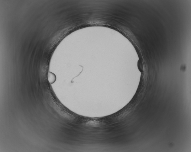X0000115720441200912241608