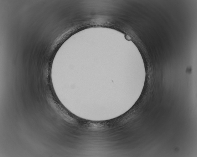X0000115720442200912241608