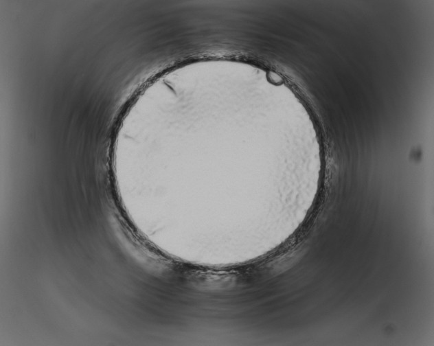 X0000115720443200912241608