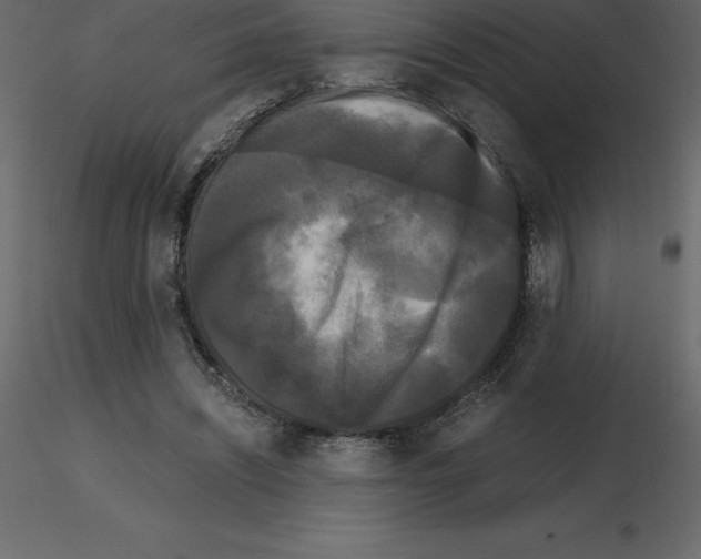 X0000115720444200912241608