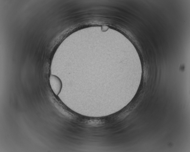 X0000115720445200912241608