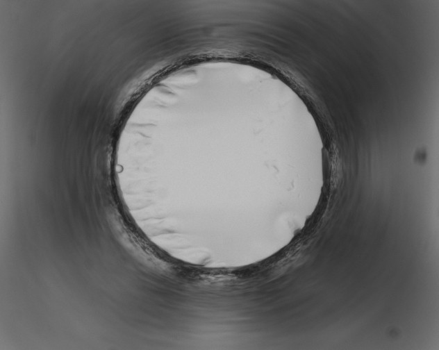 X0000115720446200912241608