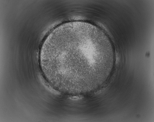X0000115720447200912241608