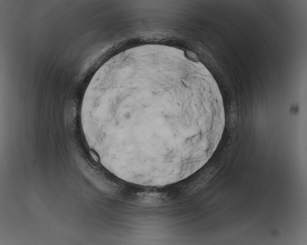 X0000115720448200912241608