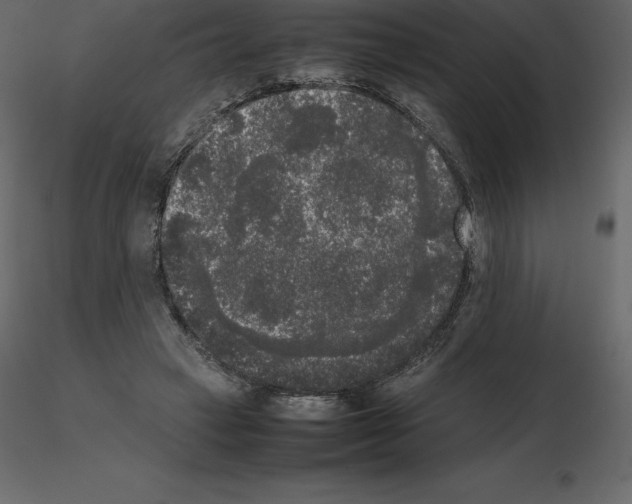X0000115720449200912241608