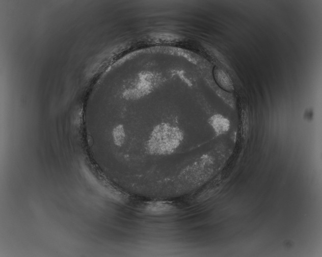 X0000115720451200912241608