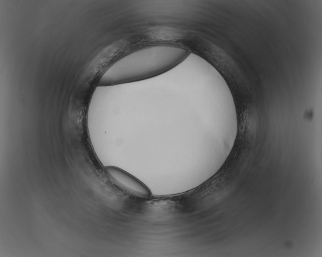 X0000115720452200912241608