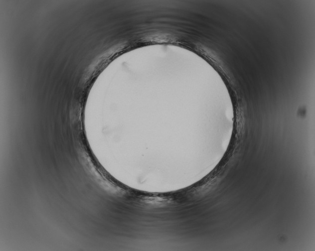 X0000115720453200912241608