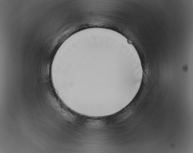 X0000115720454200912241608