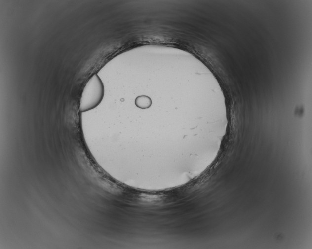 X0000115720457200912241608