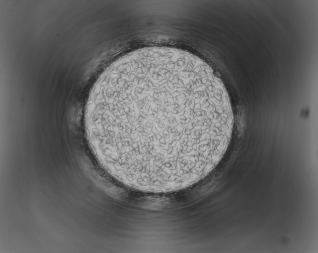 X0000115720458200912241608