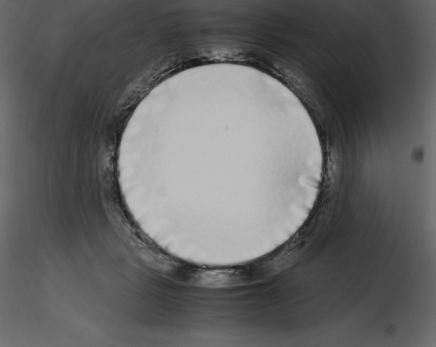 X0000115720461200912241608