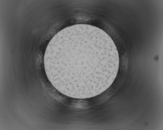 X0000115720463200912241608