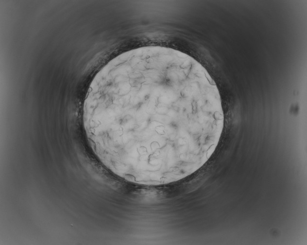 X0000115720464200912241608