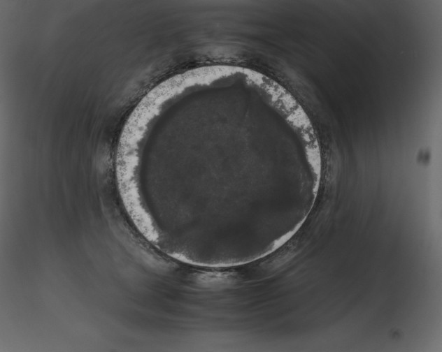 X0000115720465200912241608