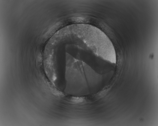 X0000115720469200912241608