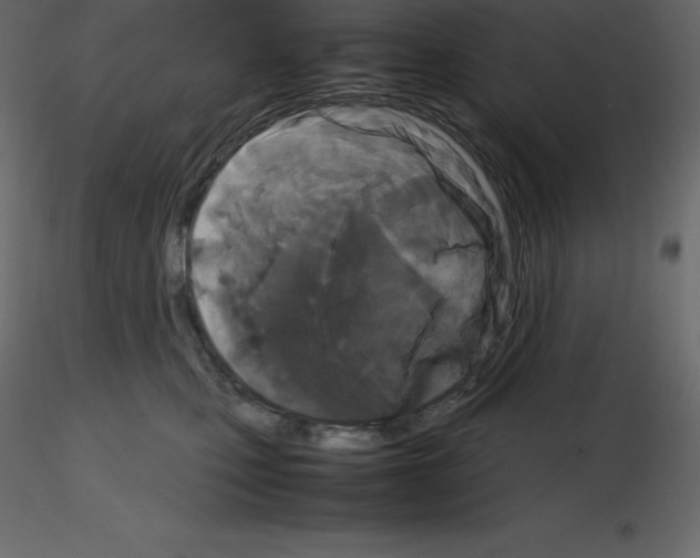 X0000115720471200912241608