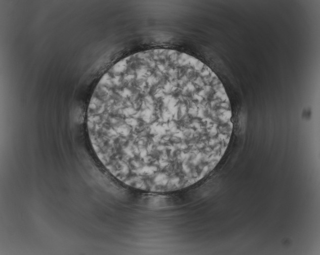 X0000115720472200912241608