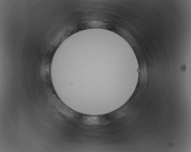 X0000115720473200912241608