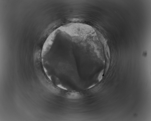 X0000115720475200912241608
