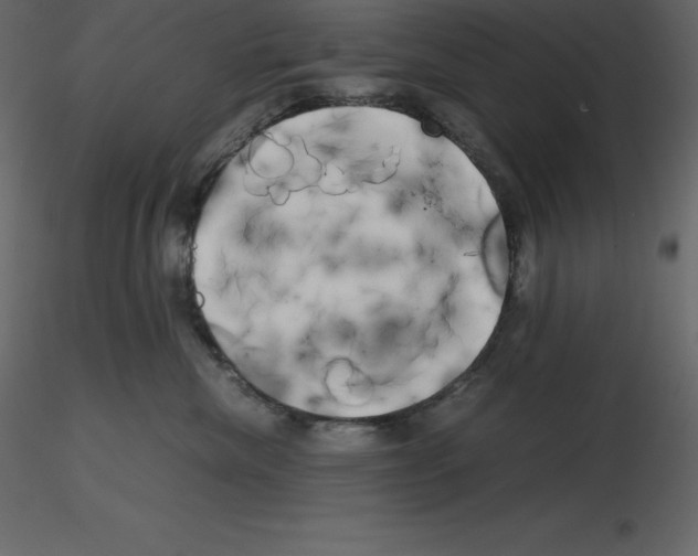 X0000115720476200912241608