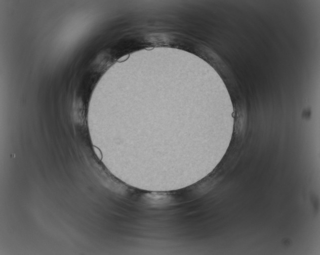 X0000115720477200912241608