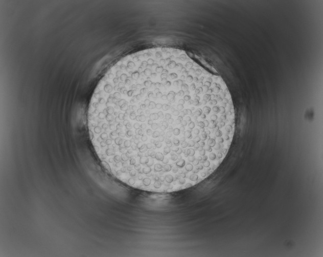 X0000115720478200912241609