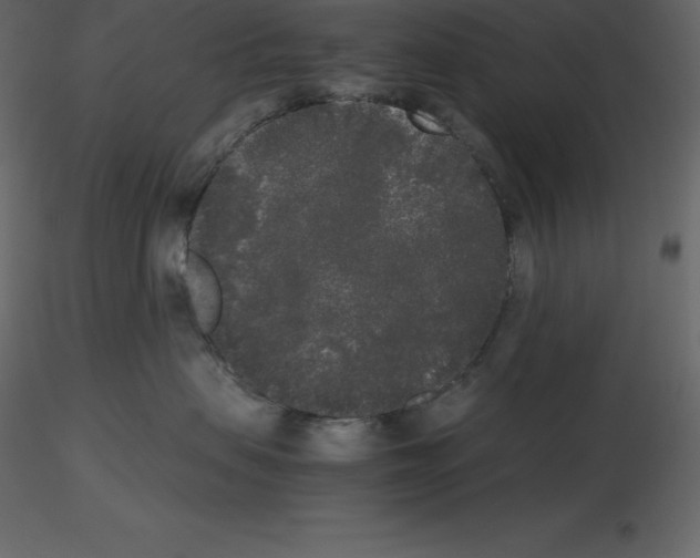 X0000115720479200912241609