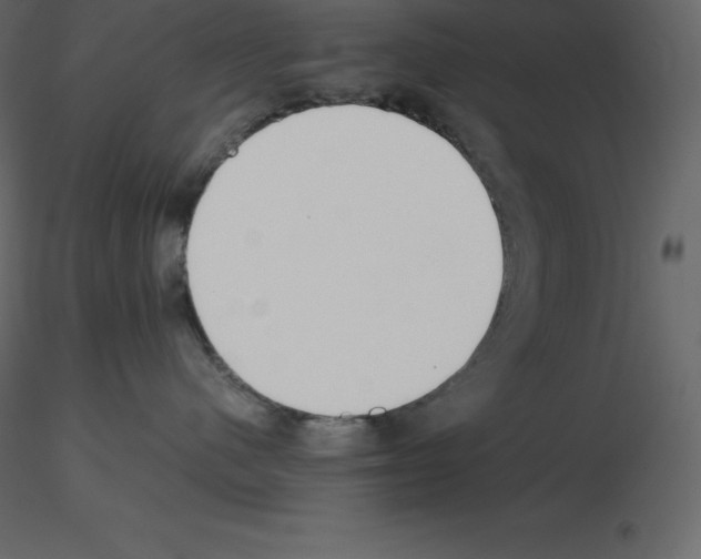X0000115720480200912241609
