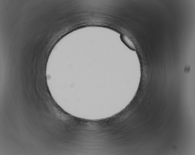 X0000115720481200912241608