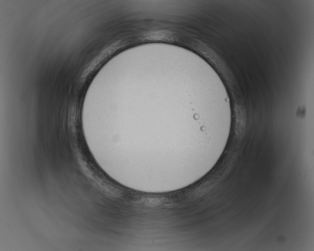 X0000115720482200912241608