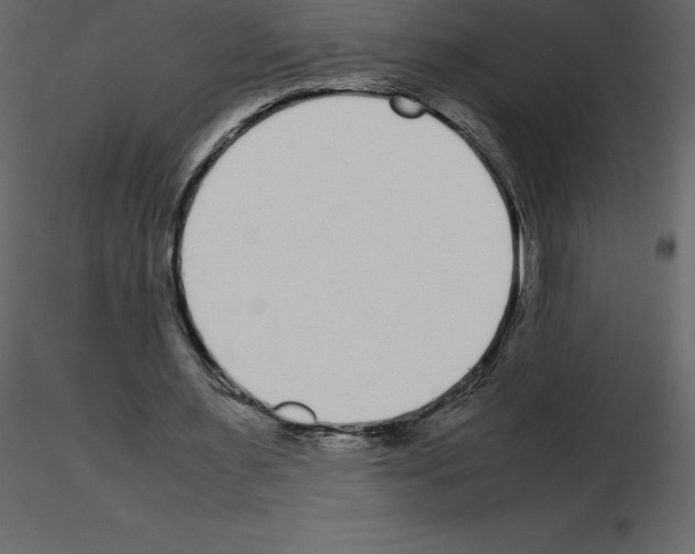 X0000115720483200912241608