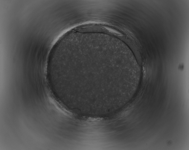 X0000115720484200912241608