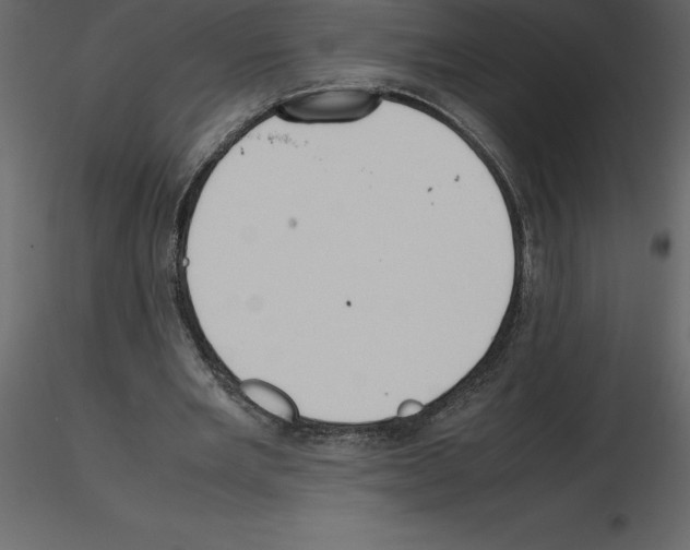 X0000115720485200912241608