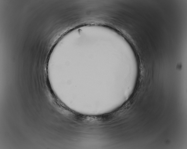 X0000115720487200912241608