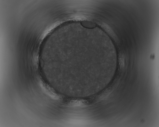 X0000115720488200912241608