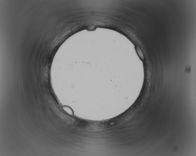 X0000115720489200912241608