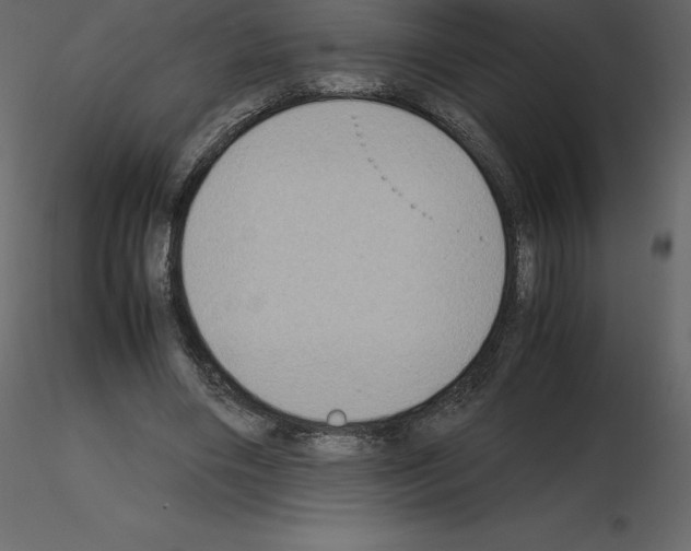 X0000115720490200912241608