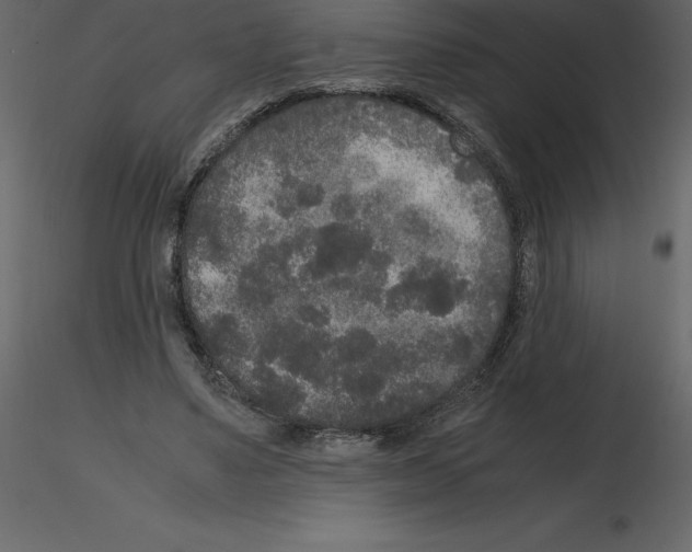 X0000115720491200912241608