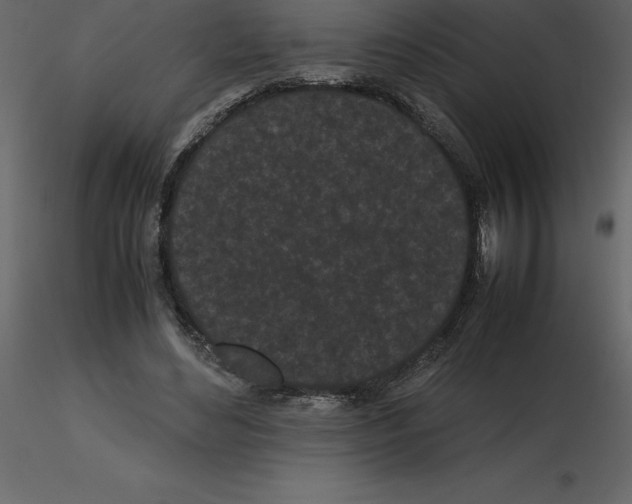 X0000115720492200912241608